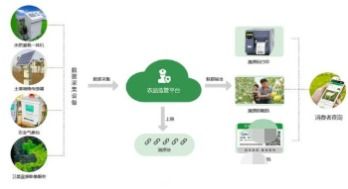 農產品全產業鏈溯源系統軟件開發解決方案 技術服務驅動品質信任